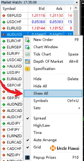 MT4 Currency Pair Setup